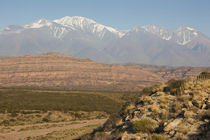 Landscape with mountains in the background von Panoramic Images