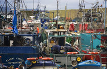 Helvick Fishing Harbour von Panoramic Images