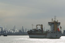 Industrial ship at a port, Port Of Houston, La Porte, Houston, Texas, USA by Panoramic Images