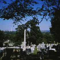 Tombstones in a graveyard, Arlington National Cemetery, Washington DC, USA von Panoramic Images
