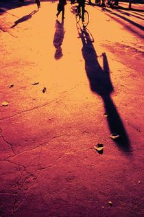 Bicycles And Shadows On Road von Panoramic Images