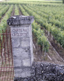 Entrance of a vineyard, Chateau La Clotte, Bordeaux, France von Panoramic Images