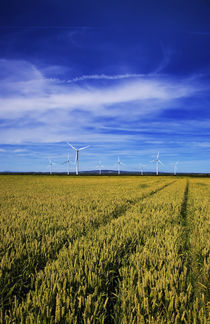 Windfarm Beyond Wheat Field, Bridgetown, County Wexford, Ireland by Panoramic Images