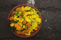 Close-up of flowers in a flower market, Port Louis, Mauritius by Panoramic Images