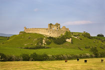 The Ruined walls of Roche Castle, County Louth, Ireland von Panoramic Images