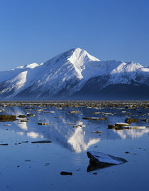 Chugach Mountains reflected between ice floes on Turnagain Arm, Alaska, USA. von Panoramic Images