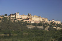 Low angle view of a fort, Amber Fort, Jaipur, Rajasthan, India von Panoramic Images