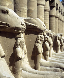 Ruins of statues, Valley Of The Kings, Luxor, Egypt by Panoramic Images