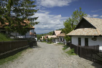 Houses in a village, Holloko, Hungary von Panoramic Images