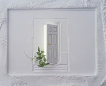 Open white door with vine in floating plaster wall by Panoramic Images