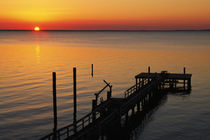 Silhouetted ocean pier at sunrise, Maryland, USA. von Panoramic Images