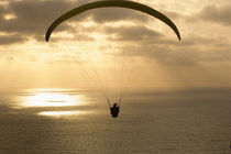 Paraglider flying in the sky over an ocean by Panoramic Images