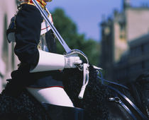 Side profile of a horse guardsman holding a sword, Whitehall, London, England von Panoramic Images