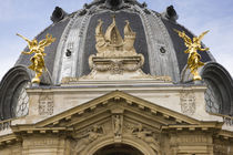 Low angle view of a museum, Petit Palais, Paris, Ile-de-France, France by Panoramic Images