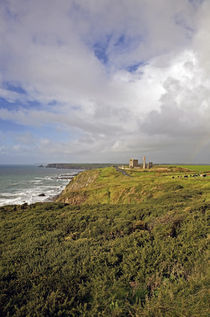 Tankardstown Copper Mine, Copper Coast, County Waterford, Ireland von Panoramic Images