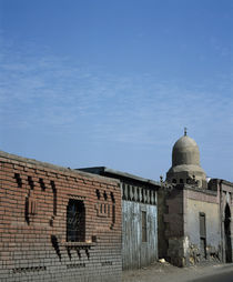 Buildings along a street, Egypt von Panoramic Images