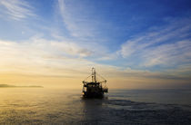 Mussel Boat at Dawn, Waterford Harbour, Co Waterford, Ireland by Panoramic Images