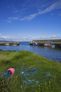 Fishing Boats, Helvick Port, Ring Gaelic Area, County Waterford, Ireland by Panoramic Images