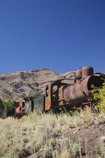 Low angle view of a locomotive in a museum by Panoramic Images