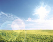 Sun shining over a field von Panoramic Images