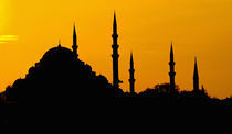 Silhouette of a mosque, Blue Mosque, Istanbul, Turkey by Panoramic Images