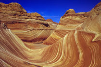 The Wave bordering blue sky, Paria Wilderness Area, Utah, USA. von Panoramic Images