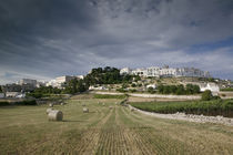 Bales of hay in a field, Locorotondo, Apulia, Italy von Panoramic Images