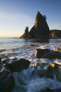 Sea stack and ocean surf on rocky Rialto Beach von Panoramic Images