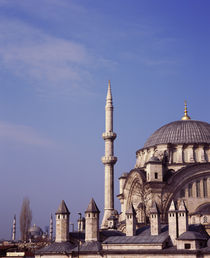 Architectural detail of a mosque, Blue Mosque, Istanbul, Turkey von Panoramic Images