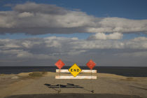 End road sign in desert von Panoramic Images