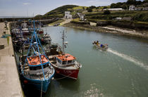 Fishing Boats, Helvick Port, Ring Gaelic Area, County Waterford, Ireland von Panoramic Images