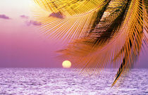 Stylized tropical scene with violet sea, pink sky, setting sun and palm fronds by Panoramic Images