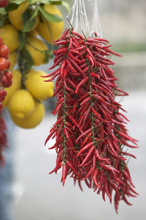 Close-up of lemons and red chili peppers by Panoramic Images