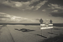 End road sign in desert by Panoramic Images