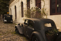 Vintage cars parked in front of a house by Panoramic Images