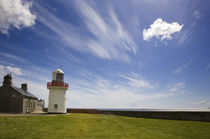 Ballynacourty Lighthouse, Co Waterford, Ireland von Panoramic Images
