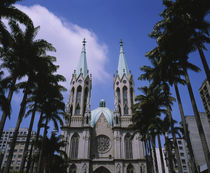 Palm trees in front of a cathedral, Sao Paulo Cathedral, Sao Paulo, Brazil von Panoramic Images