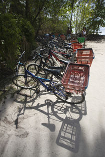 Bicycles parked on the beach von Panoramic Images