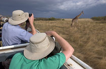 Rear view of two safari photographers filming a giraffe von Panoramic Images