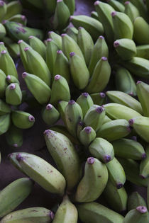 Close-up of bananas in a market, St. Paul, Reunion Island von Panoramic Images