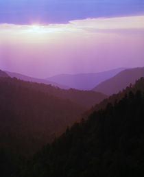 View of misty Smoky Mountains from overlook, sunset, Tennessee, USA. von Panoramic Images