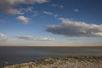 Clouds over sea, Salton Sea, Salton City, Imperial County, California, USA von Panoramic Images