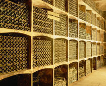 The wine cellar von Panoramic Images