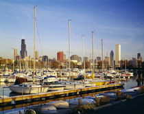 Boats in a row at a marina, Chicago, Illinois, USA von Panoramic Images