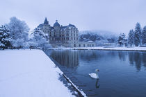 Lake in front of a chateau, Chateau de Vizille, Swan Lake, Vizille, France by Panoramic Images