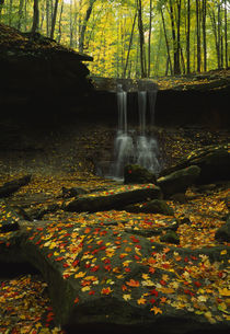 Waterfall in a forest, Blue Hen Falls, Cuyahoga Valley National Park, Ohio, USA von Panoramic Images