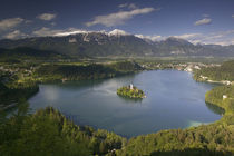 High angle view of a lake, Lake Bled, Julian Alps, Bled, Gorenjska, Slovenia by Panoramic Images