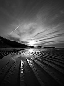 Alien. Giger. Beach. by Jason swain