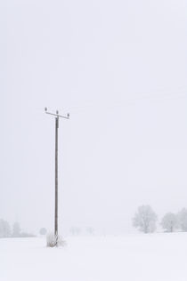Telegraph Pole In The Morning Fog. by Tom Hanslien