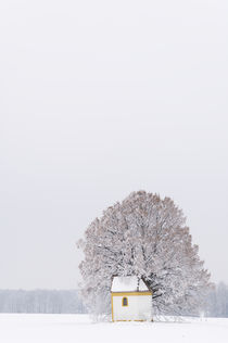 Frosty morning in the Bavarian countryside. von Tom Hanslien